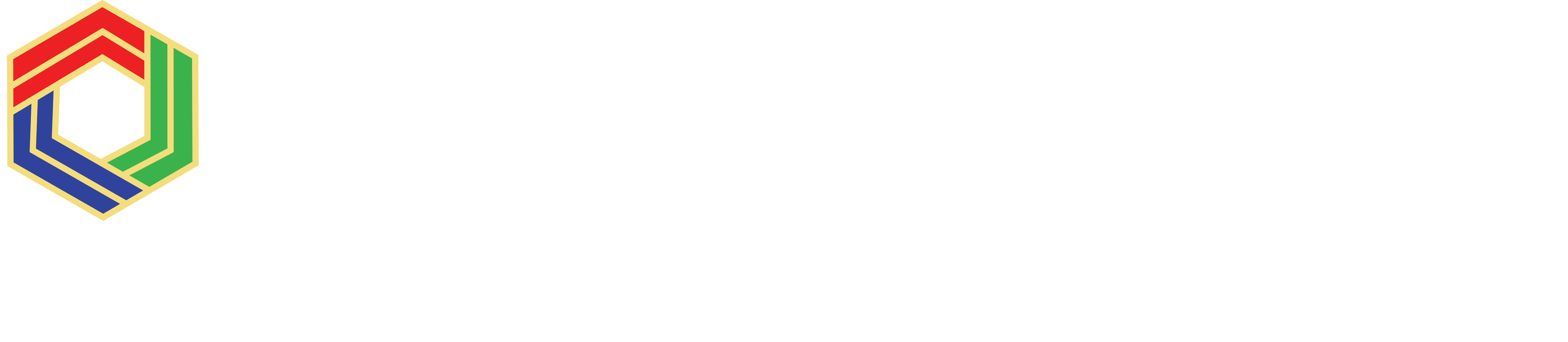 Website Logo